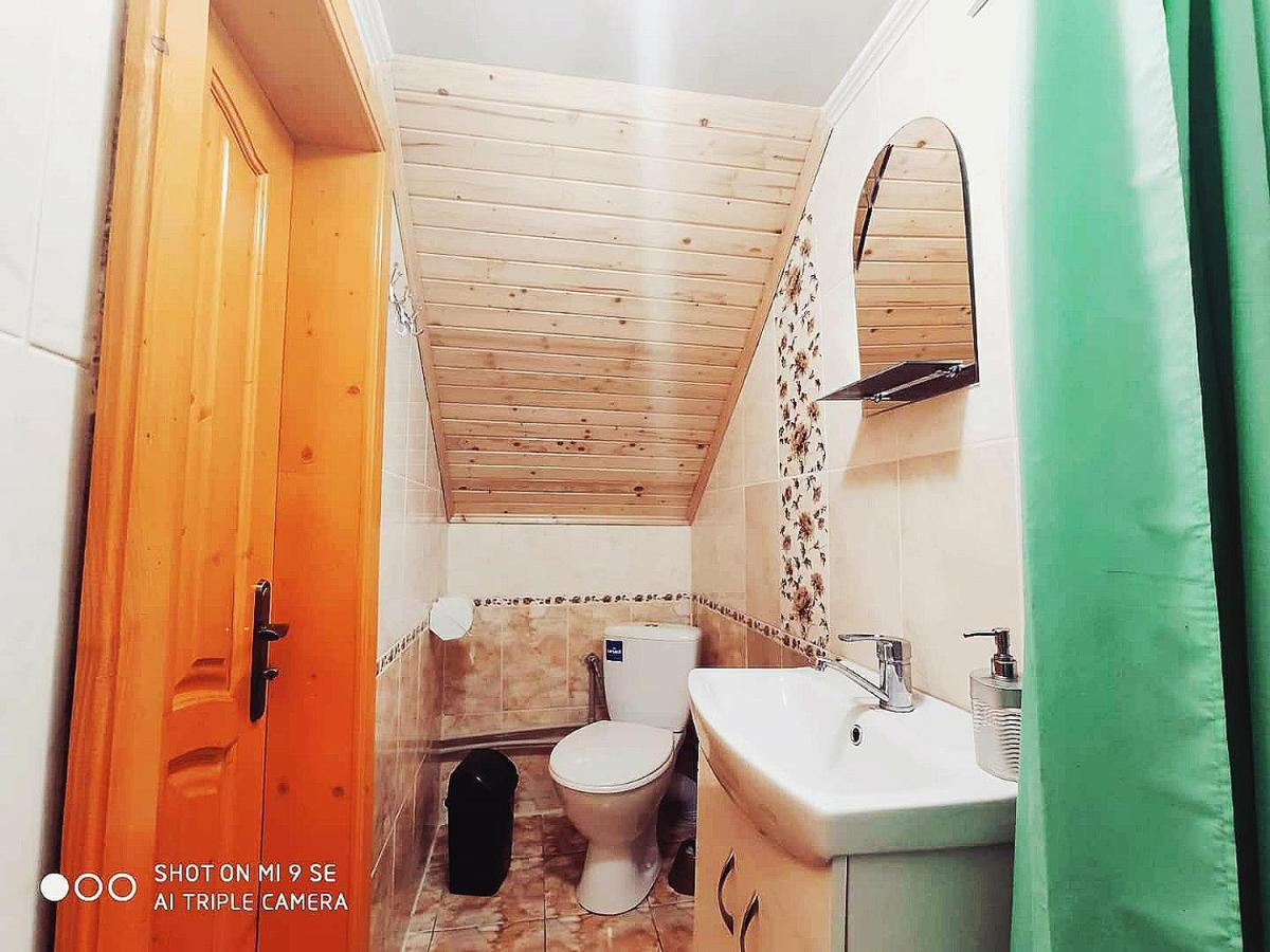 Cottage Panorama Karpat Волосянка Екстер'єр фото